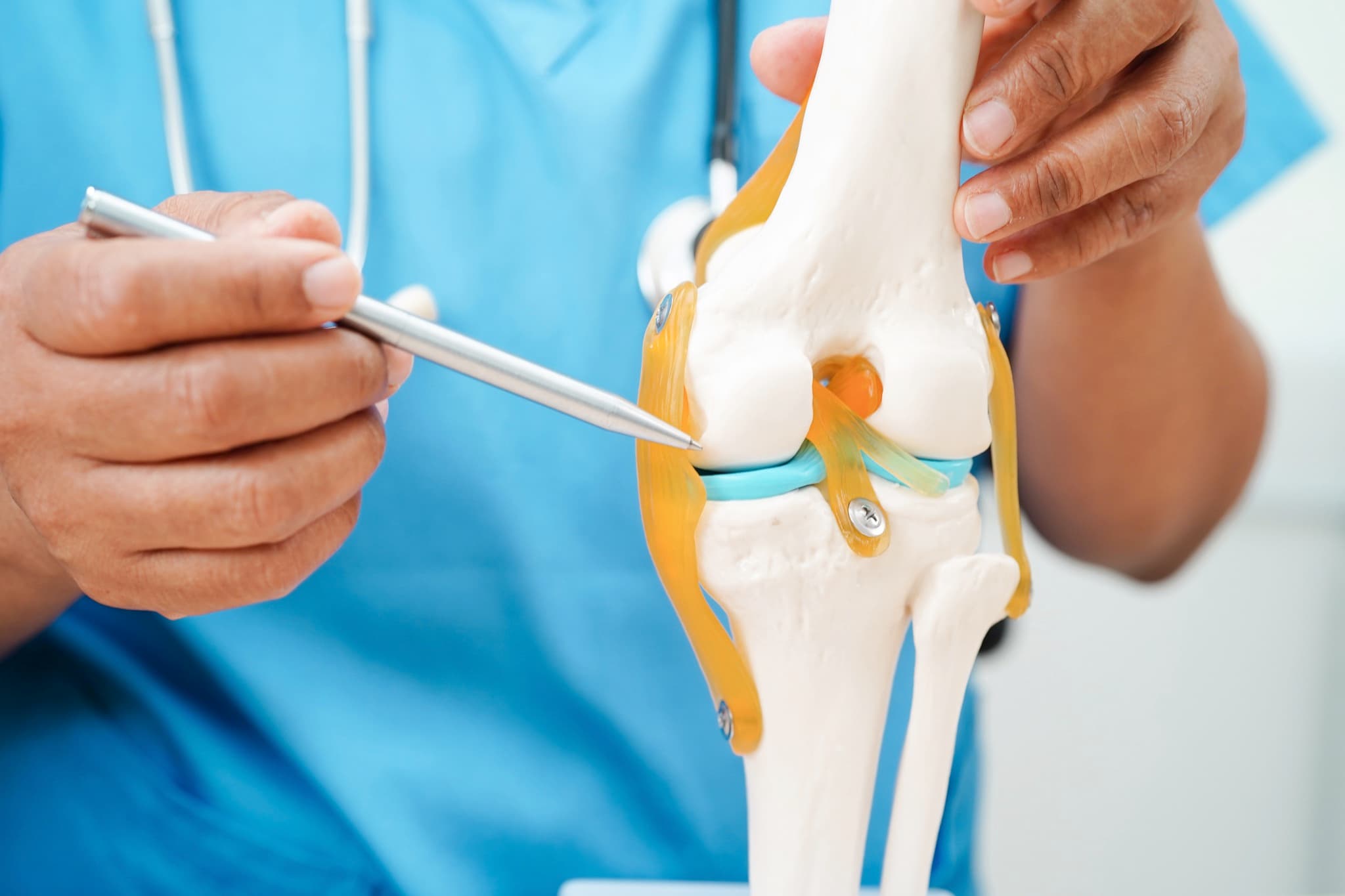 Cartilage Regeneration